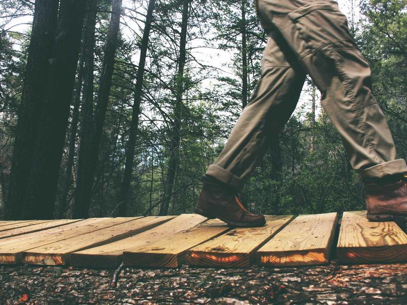 Land Selection Kerala