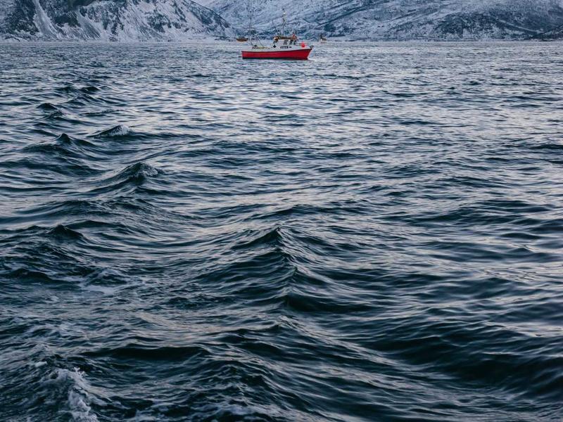 Roofing Solutions Kerala