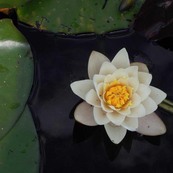 Structural Engineering