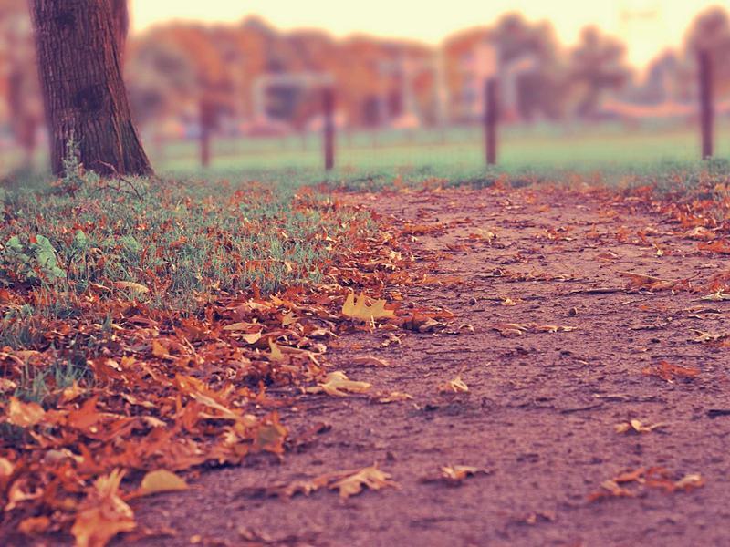 Foundation Types Kerala